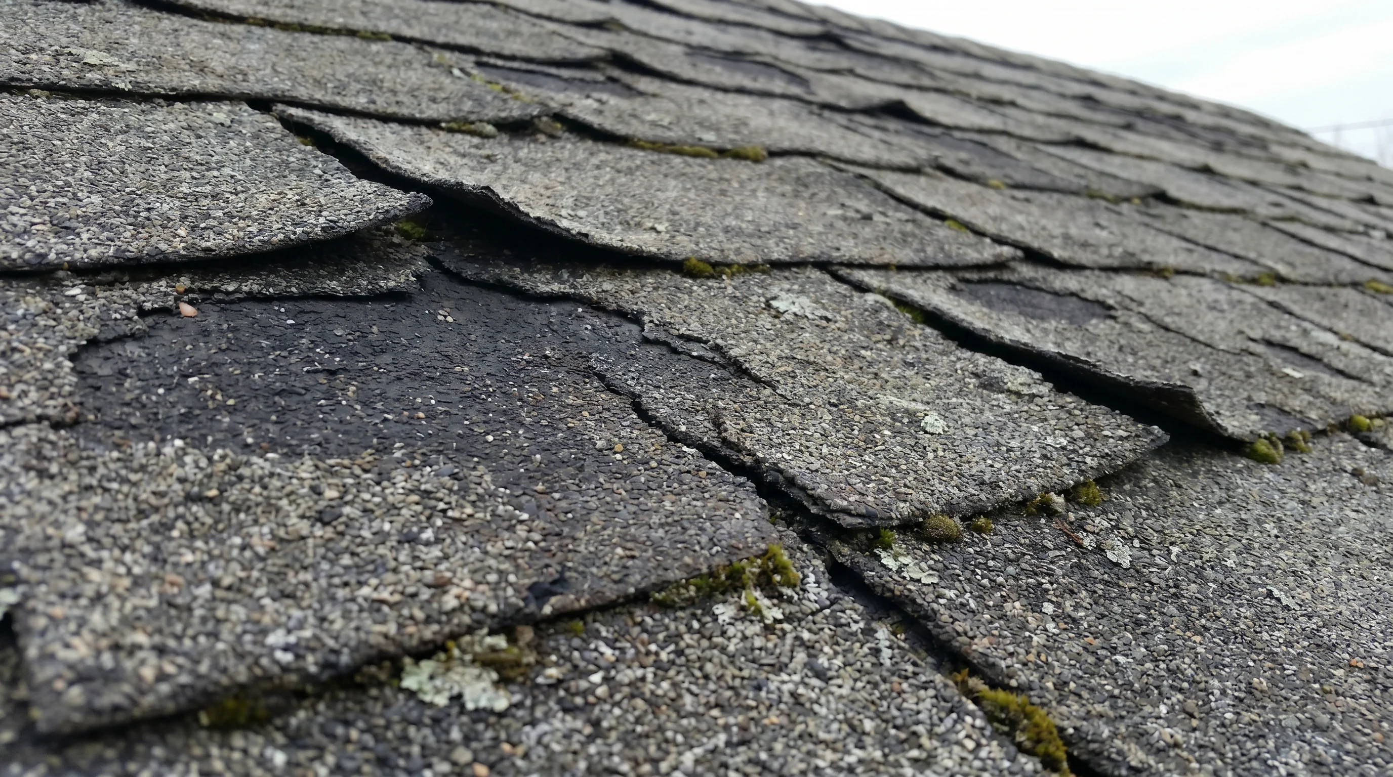 Close-up of deteriorating asphalt shingles showing curling edges, granule loss exposing dark substrate, and surface cracking on an aging residential roof